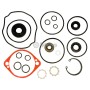 Hydro Gear Hydro Pump Seal Kit / Hydro Gear 70525