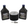 Stens Engine Maintenance Kit / Honda GX240-GX390